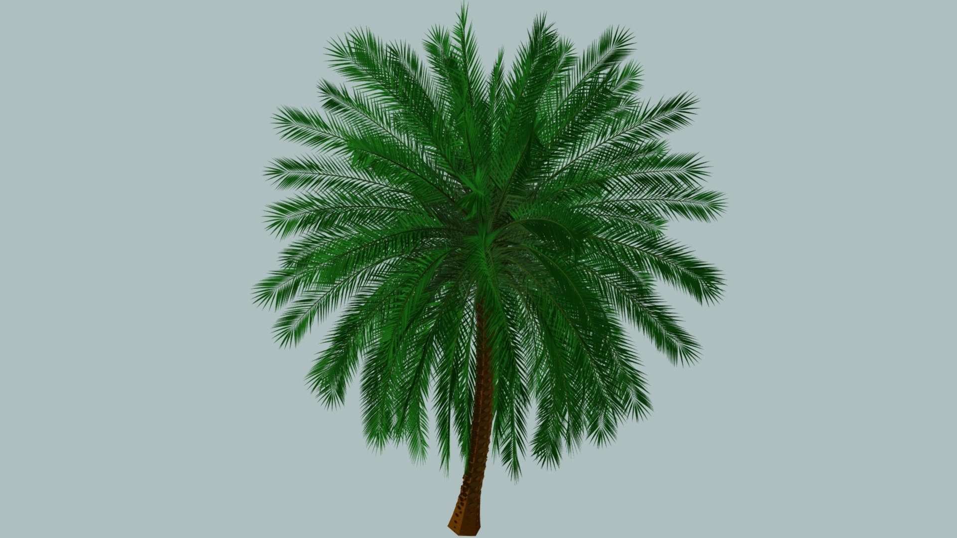 Phoenix Sylvestris — Sketchfab embed 3D viewer