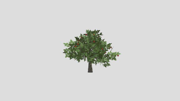 apple tree 3D Model
