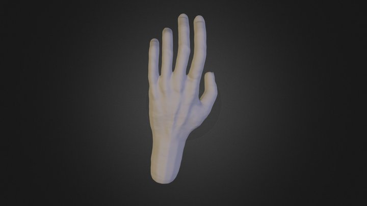 hand 3D Model