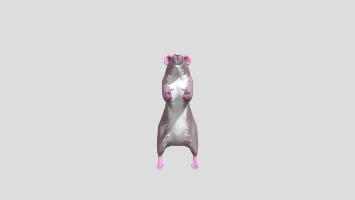 Flying Rat 3D Model