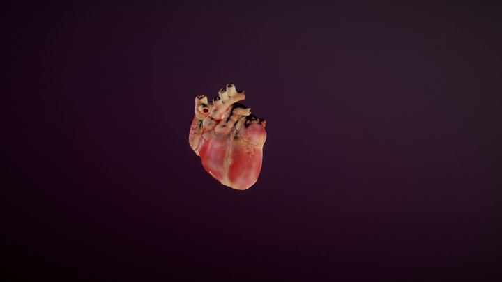 Nirvana Reference 3D Model