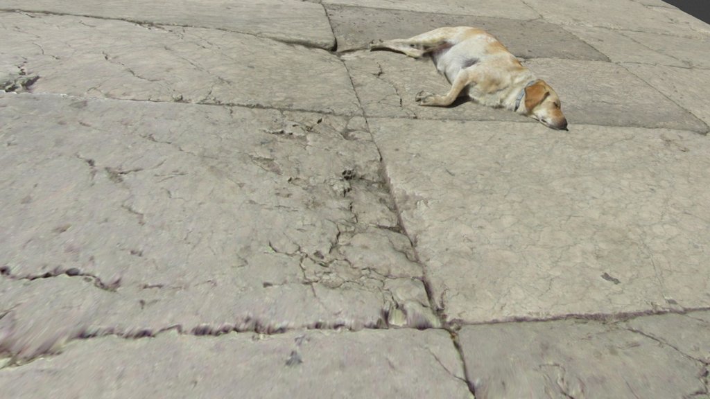 Pavement of the ancient Roman Forum