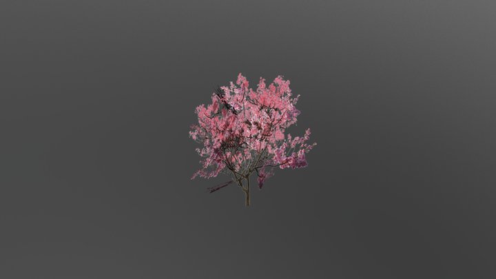 Sakura Bush 3D Model