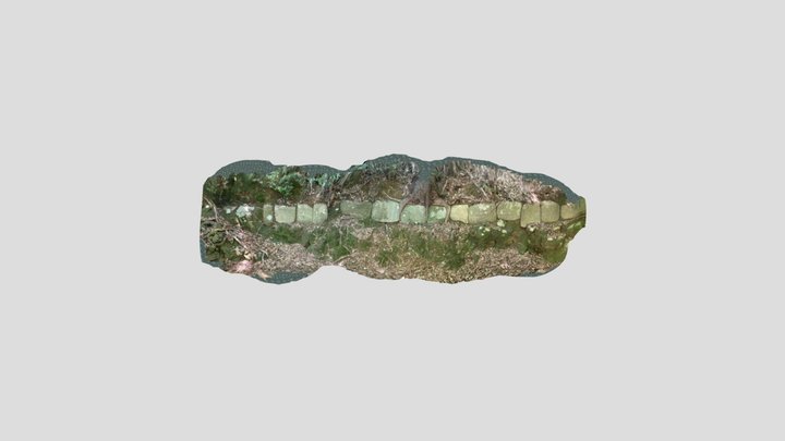女山神籠石　列石 3D Model