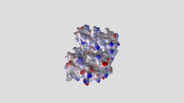 GAPDH + substrate 3D Model