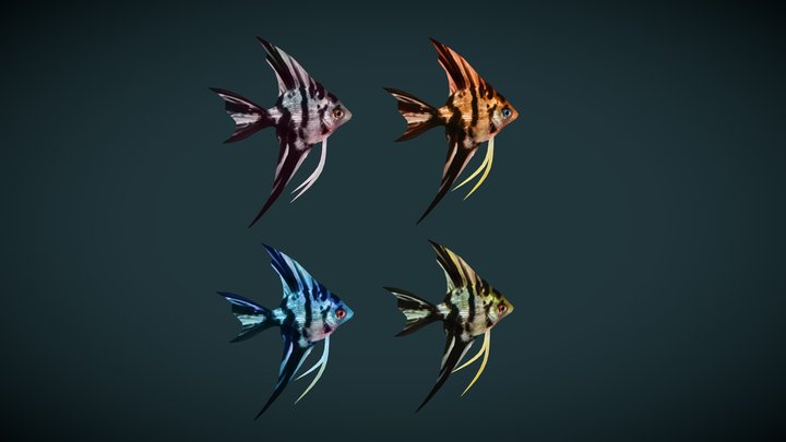 Low poly Angel Fish