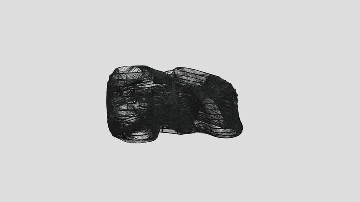 Woven Perception 3D Model