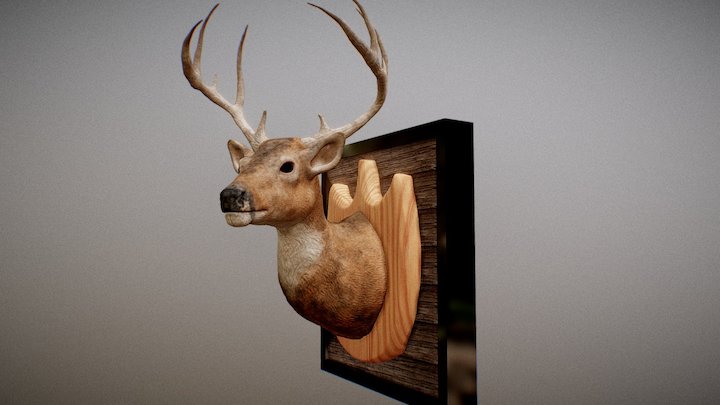 Whitetail Deer Mounted 3D Model