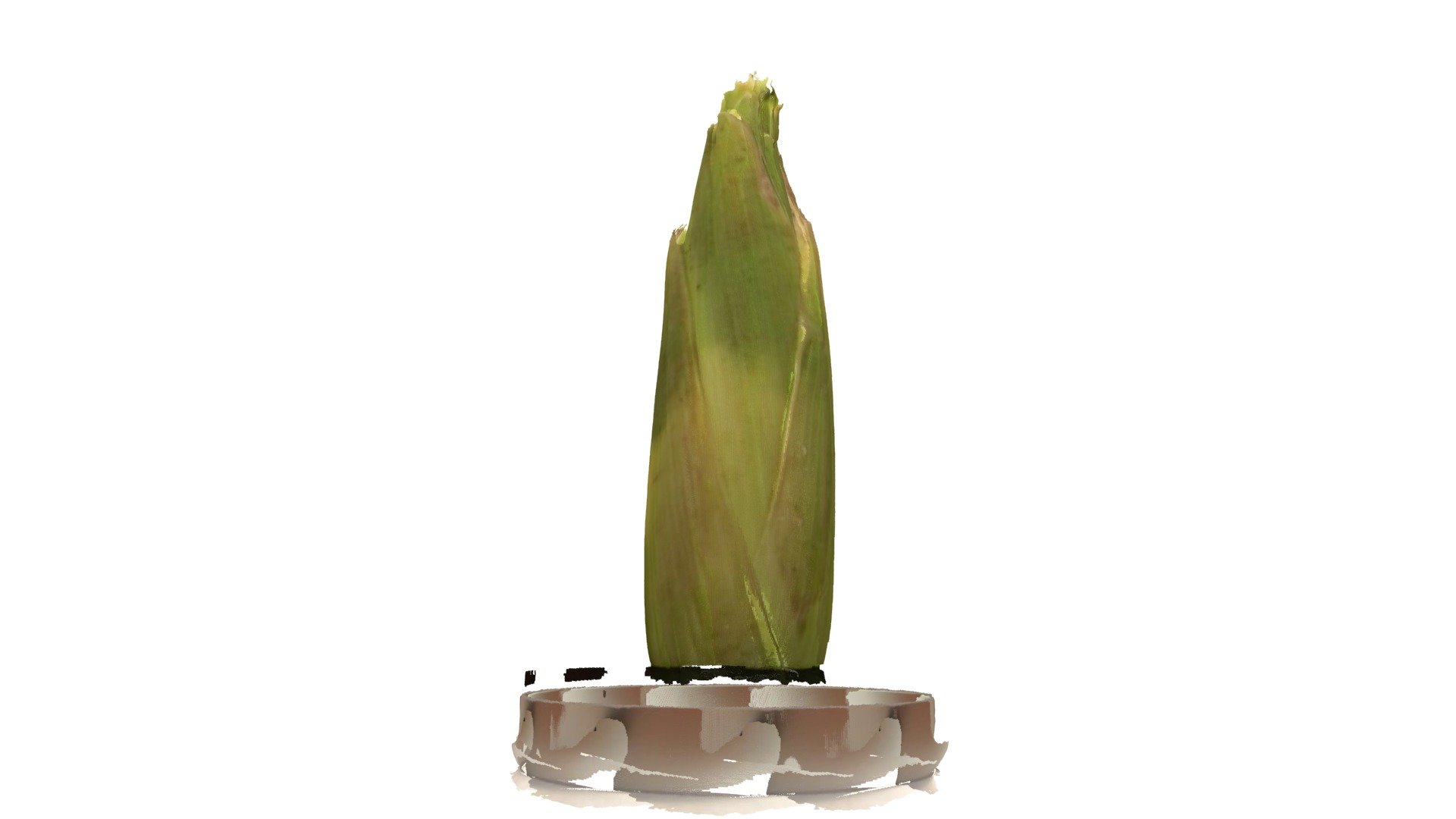 Unpeeled Corn
