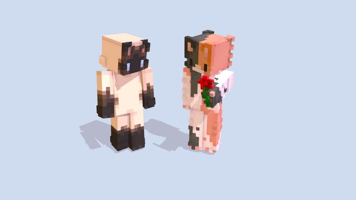 Kitty ragdoll and calico 3D Model