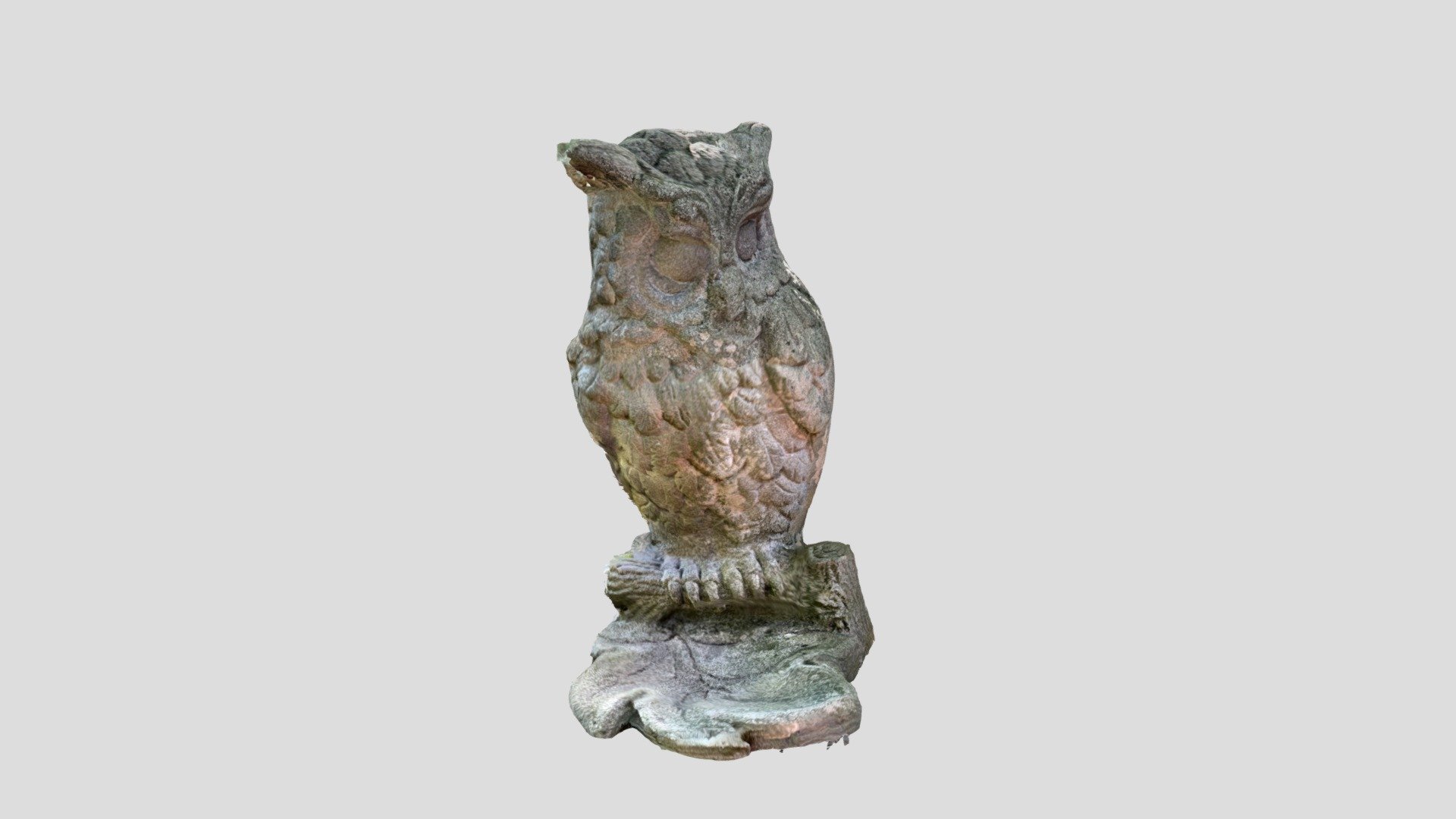 owl - zoo plock poland