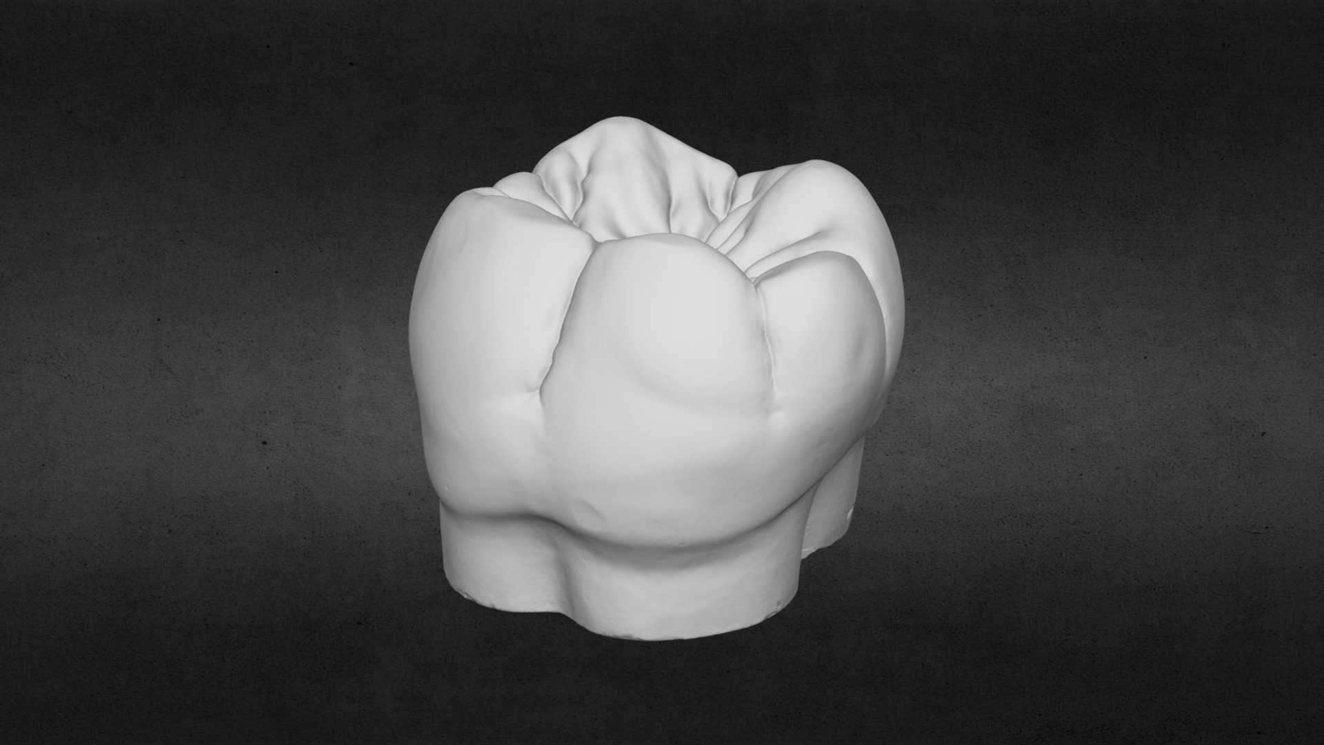 3D model Molar tooth for 3D printing - This is a 3D model of the Molar tooth for 3D printing. The 3D model is about a white tissue roll.