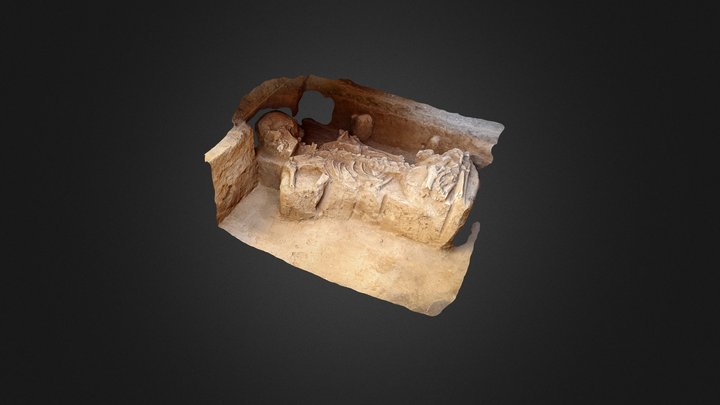 C2418_CM5_PHA_POL_03_A_HNP_PHA_004_3D 3D Model