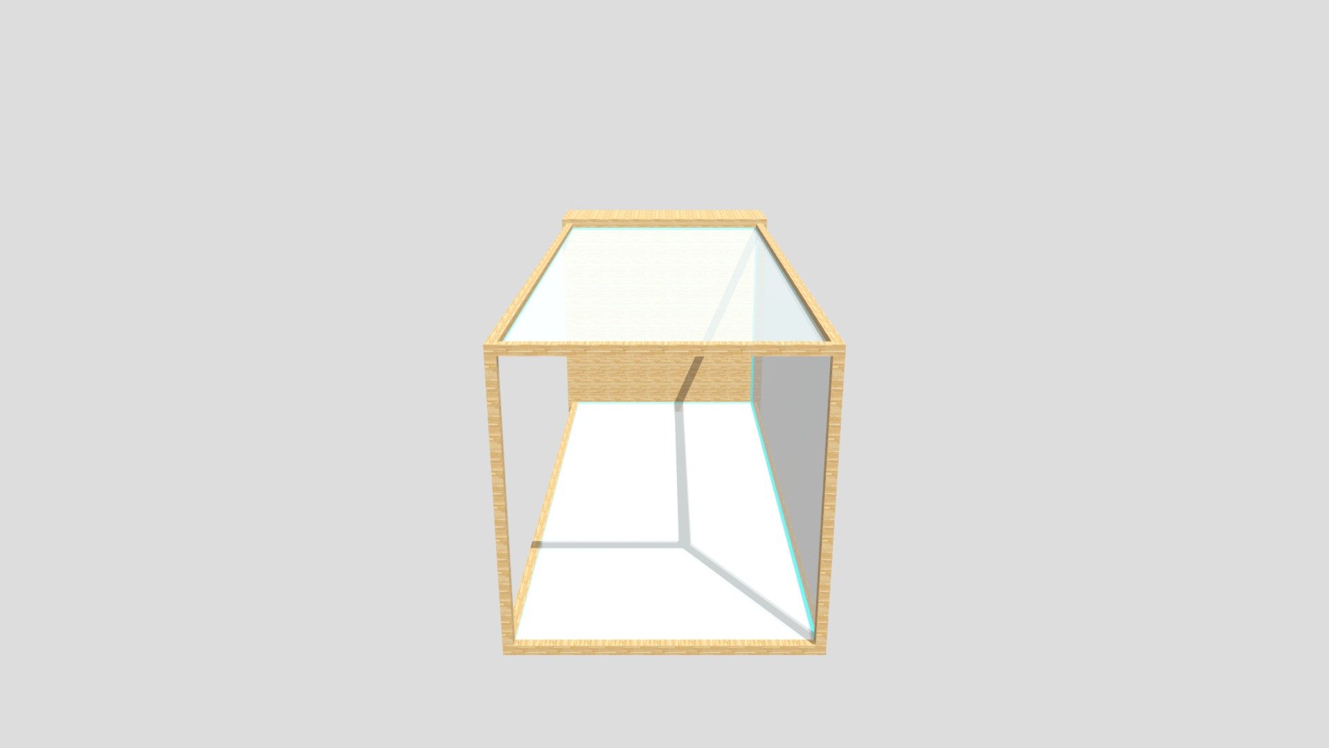 Nashorn Vitrine transp.