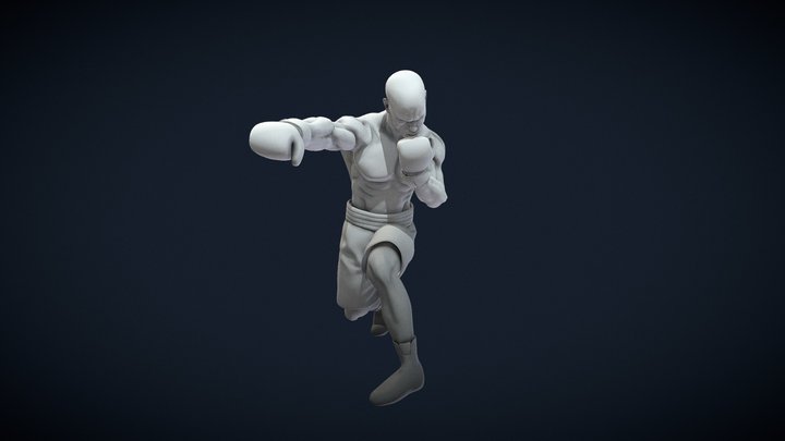 Boxer 1 3D Model
