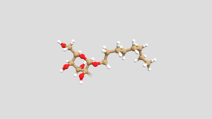 Octyl Glucoside 3D Model