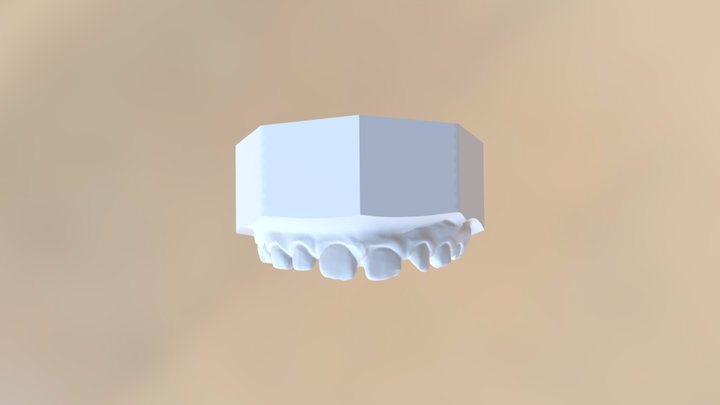 Modello Virtuale Arcata Dentale Superiore 3D Model