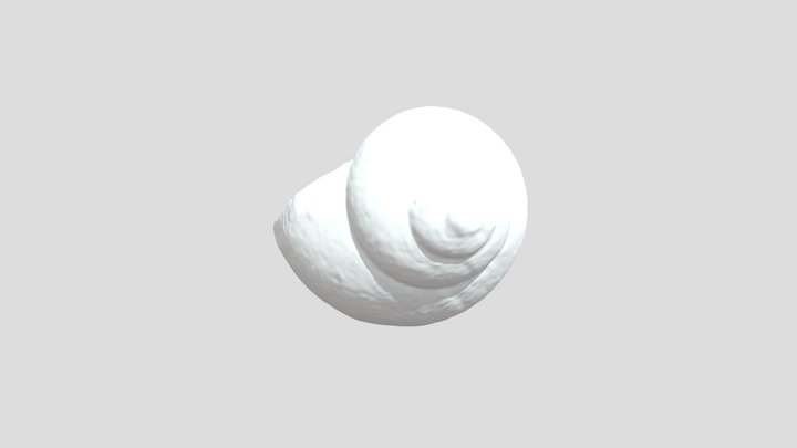 Shell of a grapevine snail 3D Model