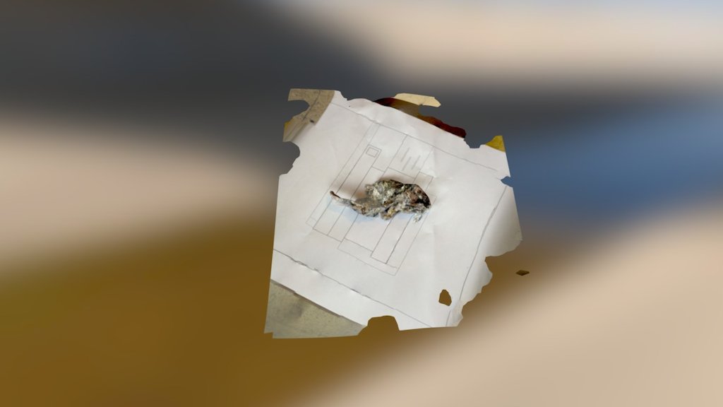 Prototype