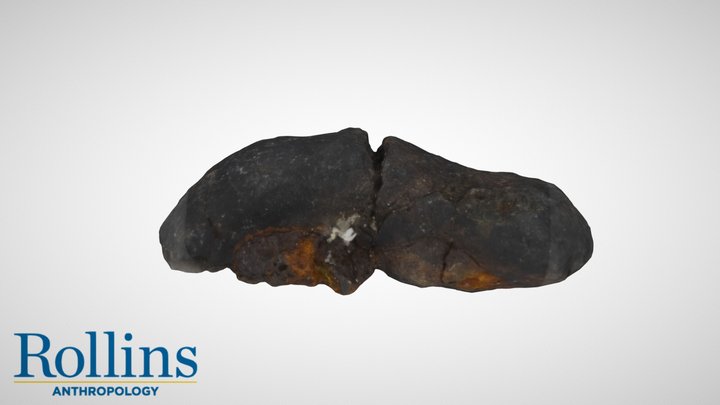 Paleofeces / Coprolite 3D Model