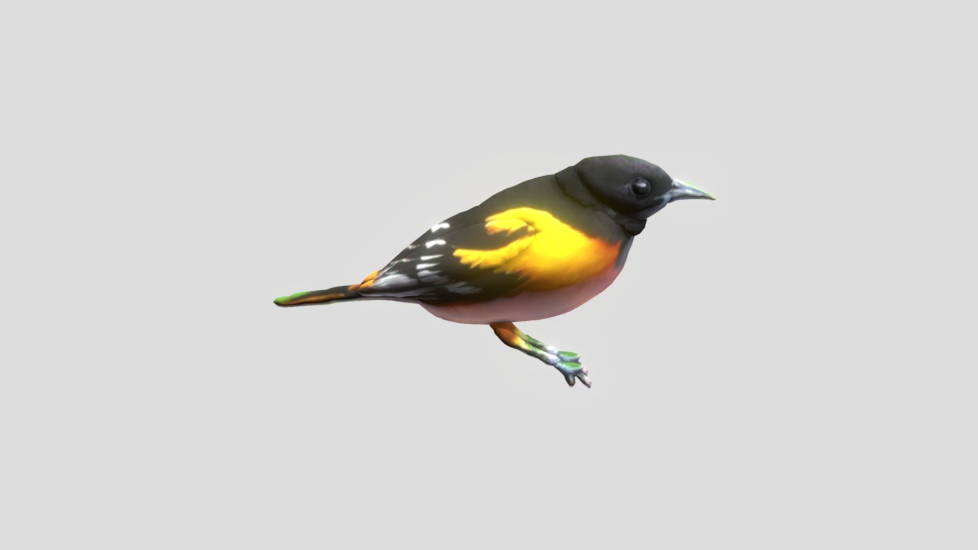 Bird001