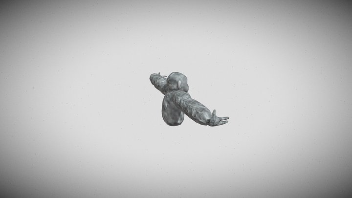 ScaryBaboon Player Model Ripped By Rootbeer 3D Model