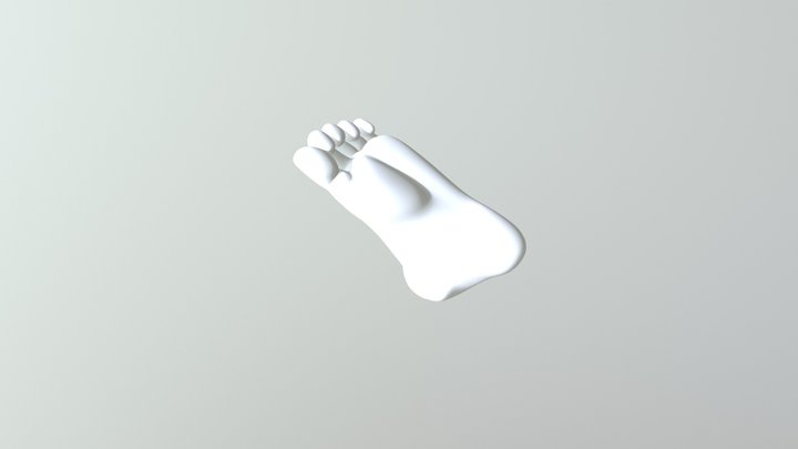 Light-weight-foot 3D Model