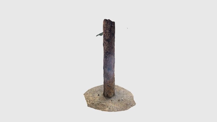 Tree 3D Model
