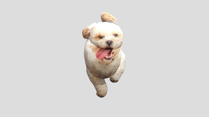 Dog 3D Model