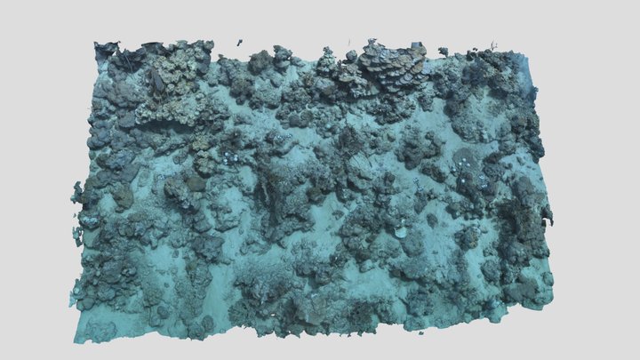 Masic_FR2D_P2_202203 3D Model