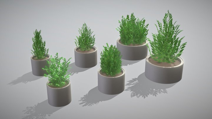 Concrete Pipe Pots with Bushes 2 3D Model