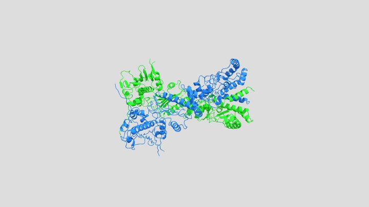 Hsp90 3D Model