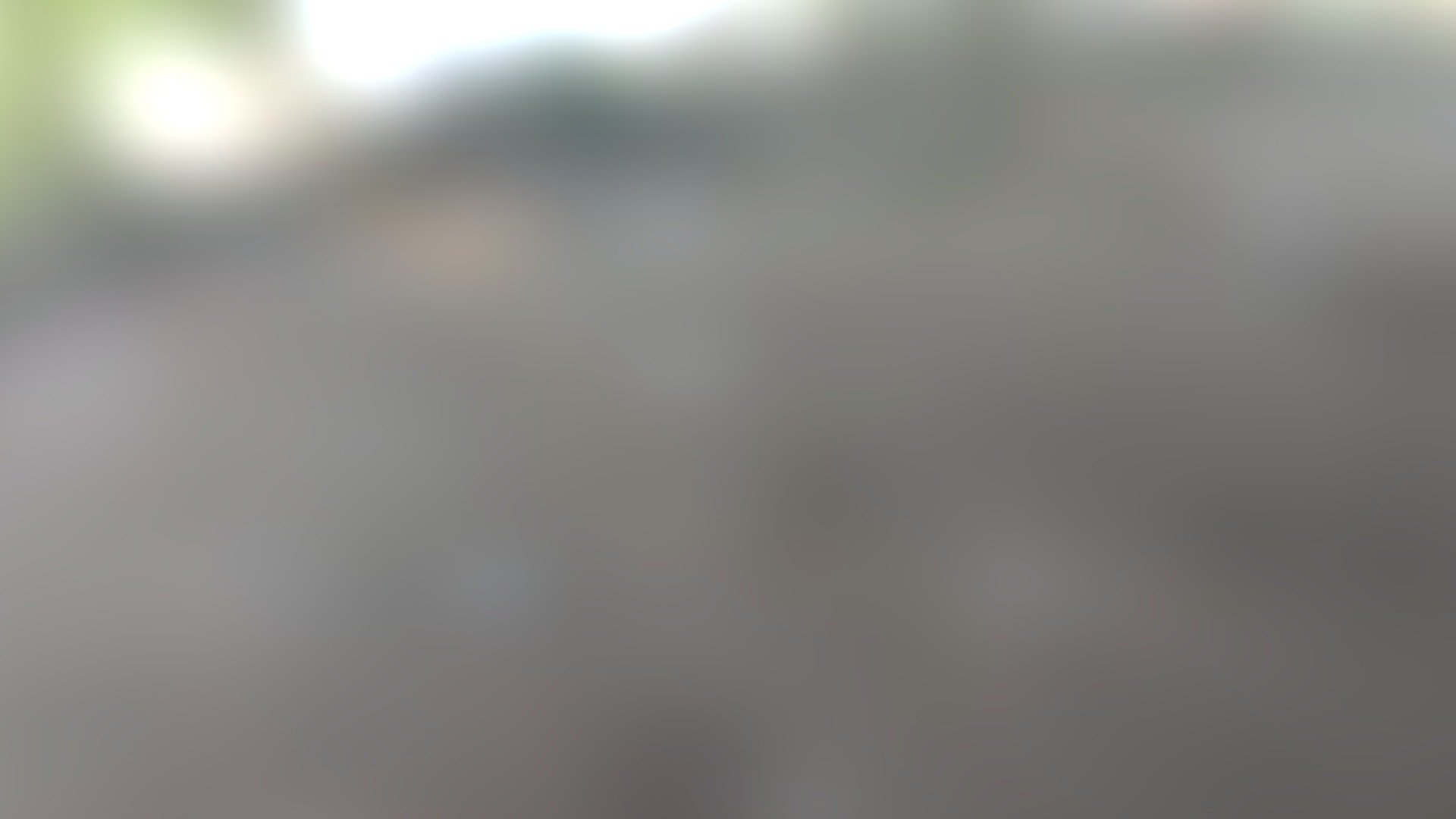 Nexus 5