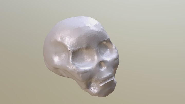 cranio tentativa 1 3D Model