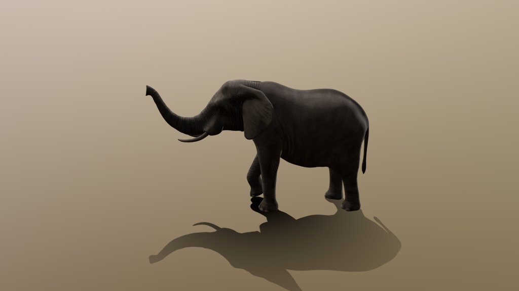 Elephant