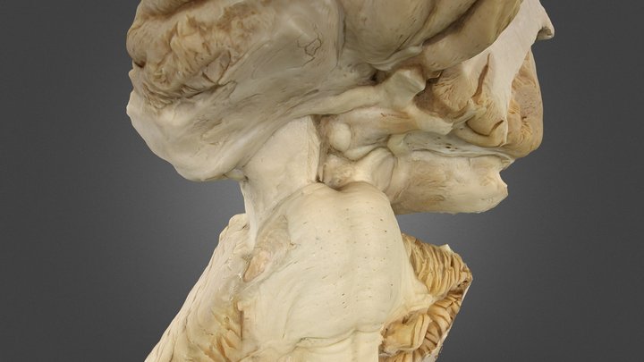 1 3D Model