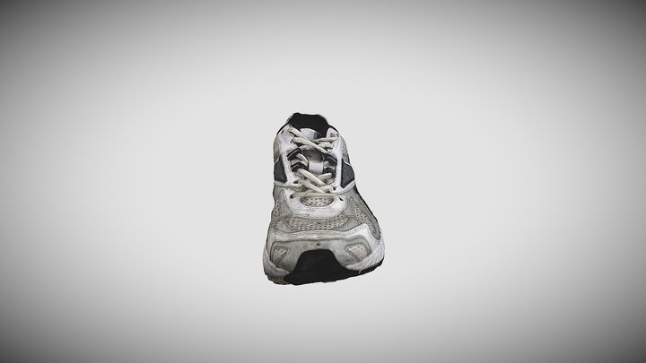 Trainer Scan with normal maps 3D Model