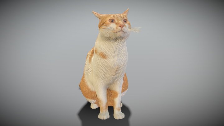 Red cat 07 3D Model