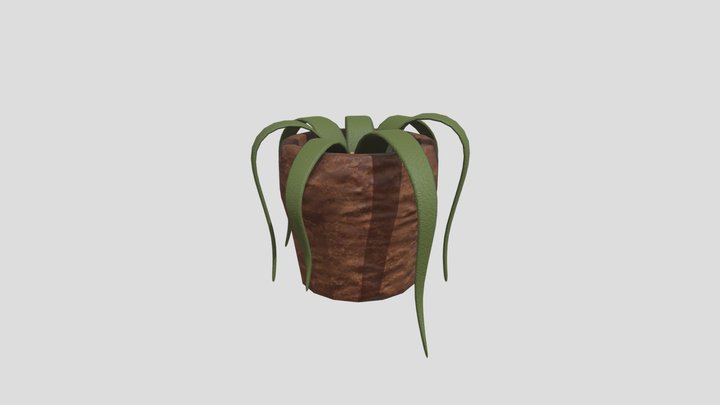 Dying Potted Plant 3D Model