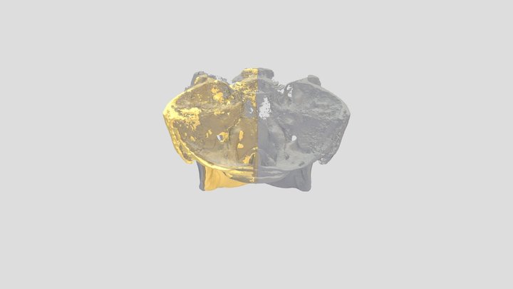 ct scan 3D Model