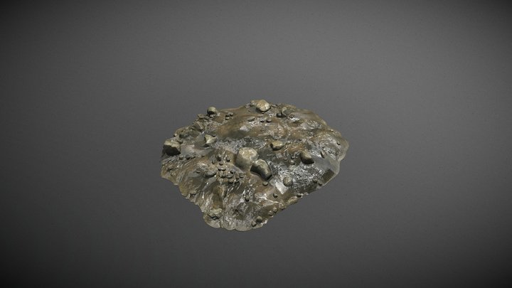 Muddy River Shore Ground Patch