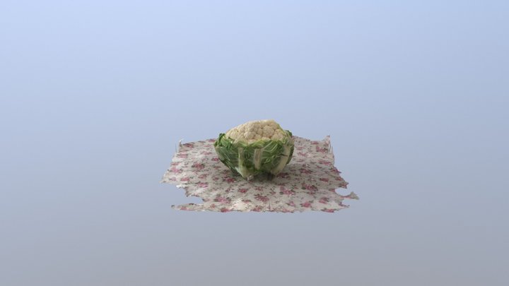 My spectacular reconstruction of a cauliflower 3D Model