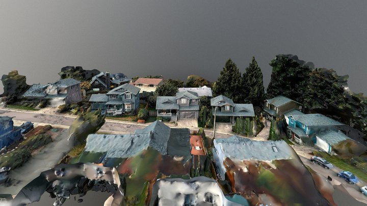 Neighborhood 3D Model