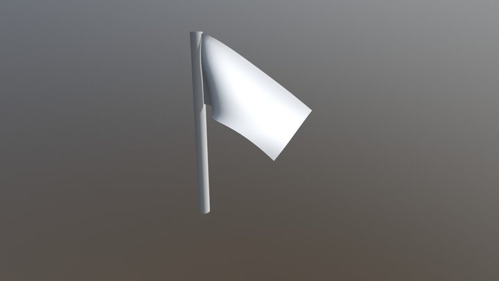 Waving Flag 3D Model