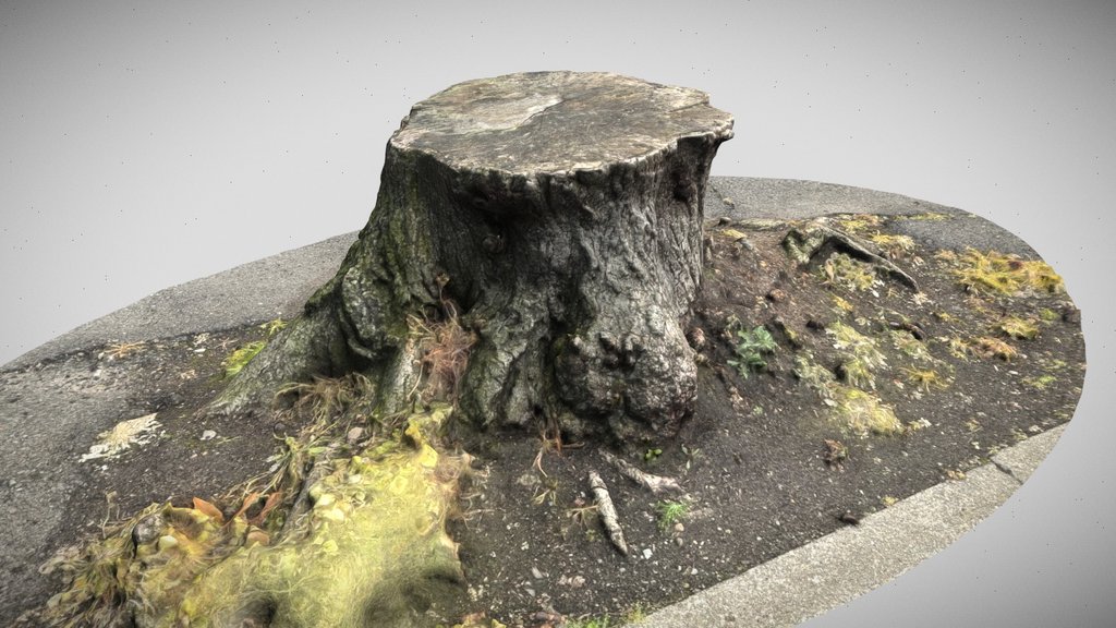 stump scan 2