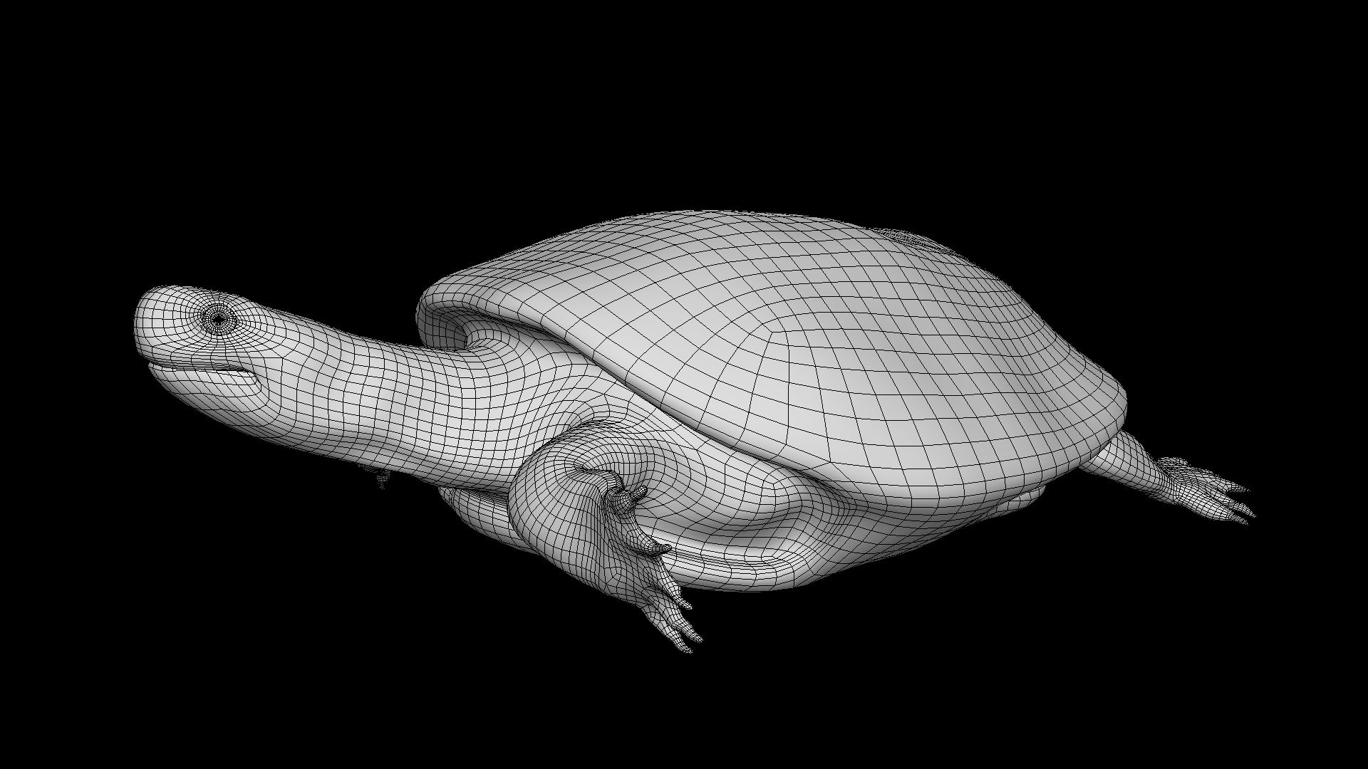 model-64b-eastern-painted-turtle-mesh-only-download-free-3d-model