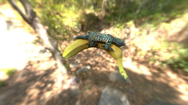 Banana Gecko 3D Model