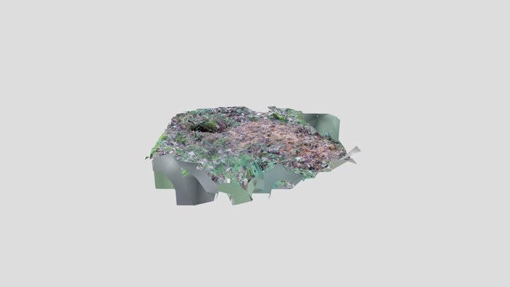 Badger sett hole 4 3D Model