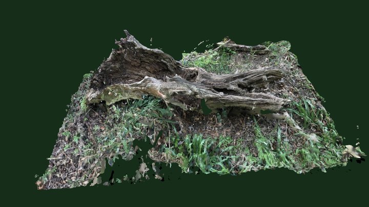 log 1 3D Model