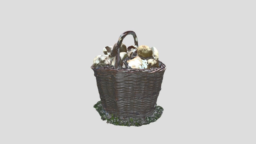 Basket With Mushrooms Laid On The Grass